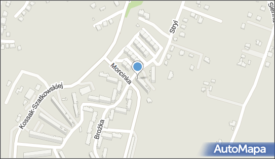 Grażyna Sikora - Działalność Gospodarcza, ul. Ludwika Brożka 22 43-400 - Przedsiębiorstwo, Firma, numer telefonu, NIP: 5481190949