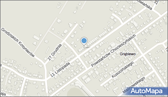 Grodzisk Wielkopolski, 11 Listopada 37, Grodzisk Wielkopolski 62-065 - Przedsiębiorstwo, Firma, NIP: 7881148550