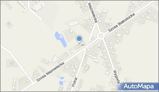 8252005900, Grovet - Gabinet Weterynaryjny Sławomir Grochowski 