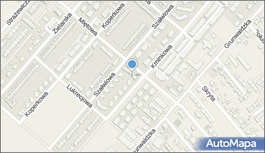 7871116637, Michał Kiełczewski Grupa Surf 