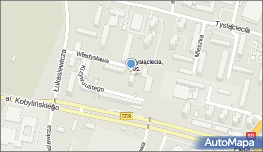Grzechowiak Hanna, Władysława Hermana 6, Płock 09-400 - Przedsiębiorstwo, Firma, NIP: 7741258646