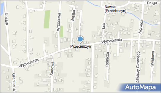 Grzegorz Bubak - Działalność Gospodarcza, Przecieszyn N/N 43-275 - Przedsiębiorstwo, Firma, NIP: 6521223415