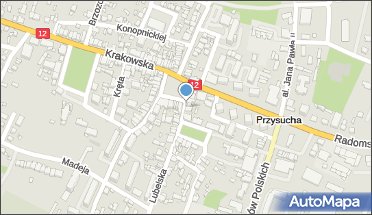 Grzegorz Czyżykowski P.H.U.Grześ, Lubelska 1, Przysucha 26-400 - Przedsiębiorstwo, Firma, NIP: 7991228089