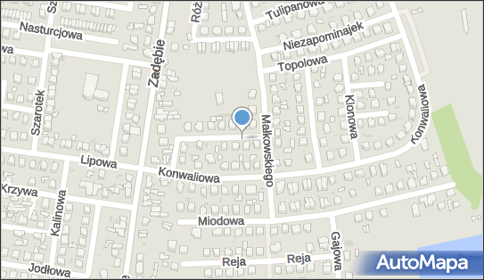 Grzegorz Dybowski - Działalność Gospodarcza, Świerkowa 3 96-100 - Przedsiębiorstwo, Firma, NIP: 8361322597