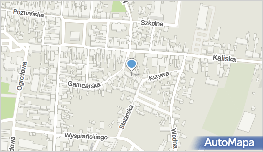 Grzegorz Łapa Almi, ul. Krzywa 2B, Pleszew 63-300 - Przedsiębiorstwo, Firma, NIP: 6211499057