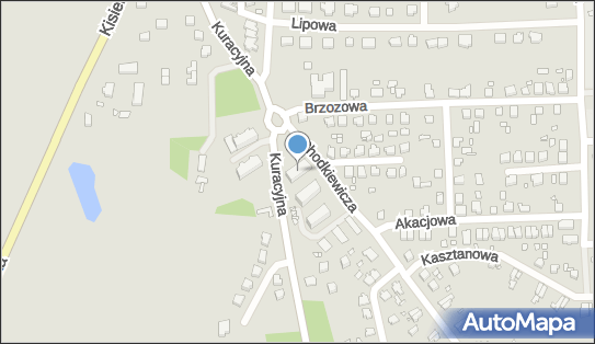 Grzegorz Pawelec, ul. Chodkiewicza 2 A, Prabuty 82-550 - Przedsiębiorstwo, Firma, NIP: 5811300017