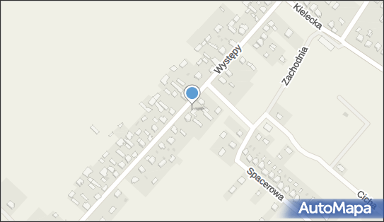 Grzegorz Wójcik Przedsiębiorstwo Produkcyjno Usługowo Handlowe 29-105 - Przedsiębiorstwo, Firma, NIP: 6562142613