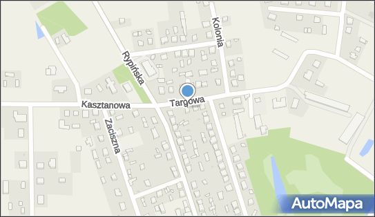 Guschapol, ul. Targowa N/N, Skrwilno 87-510 - Przedsiębiorstwo, Firma, NIP: 8921274914