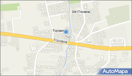 Hadyś, Trzciana 318A, Trzciana 36-071 - Przedsiębiorstwo, Firma, NIP: 8130018155