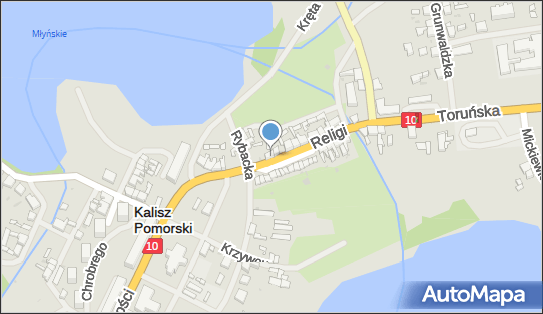 Halina Dziewiesz - Działalność Gospodarcza, Kalisz Pomorski 78-540 - Przedsiębiorstwo, Firma, NIP: 6741147610