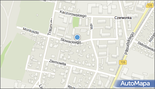 Handel Art Przemysłowymi Balicka Elżbieta, ul. Słowackiego 12 96-500 - Przedsiębiorstwo, Firma, NIP: 8371253188