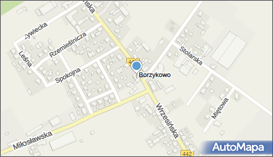 Handel Art Spożywczo Przemysłowymi Balcer Zyta Tomas Emilia 62-307 - Przedsiębiorstwo, Firma, numer telefonu, NIP: 7890004000