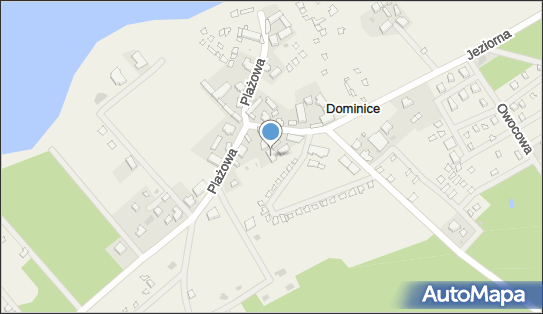 Handel Art Spożywczymi Dominice, Dominice 14, Dominice 64-140 - Przedsiębiorstwo, Firma, NIP: 6981021498