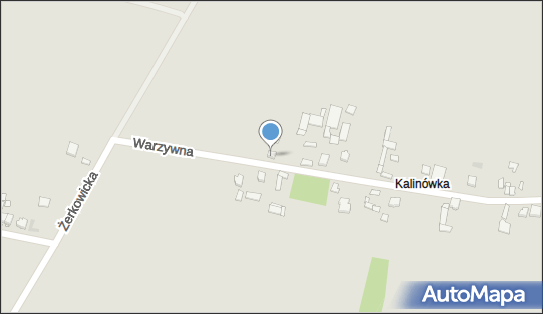 Handel Artykułami Przemysłowymi Spożywczymi, Warzywna 7 42-400 - Przedsiębiorstwo, Firma, NIP: 9660862528