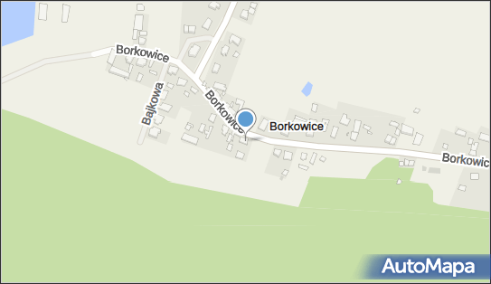 Handel Artykułami Przemysłowymi, Borkowice 10, Borkowice 62-053 - Przedsiębiorstwo, Firma, NIP: 7771361923