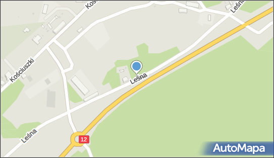 Handel Artykułami Spożywczo Przemysłowymi, ul. Leśna -, Łęknica 68-208 - Przedsiębiorstwo, Firma, NIP: 9281714640