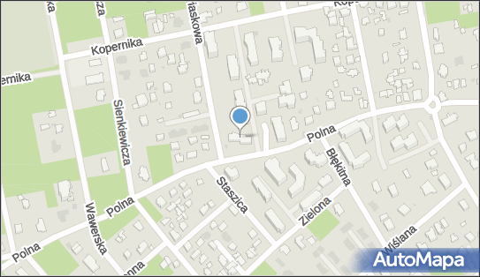 5321019810, Handel Detaliczny Zniczami i Kwiatami Krawczyk Elżbieta Irena 