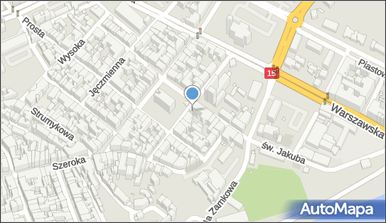 Handel Detaliczny, rynek Nowomiejski N/N, Toruń 87-100 - Przedsiębiorstwo, Firma, NIP: 9561474088