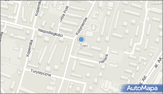 Handel Detaliczny, Kosynierów 12, Świdnik 21-040 - Przedsiębiorstwo, Firma, NIP: 7161278508