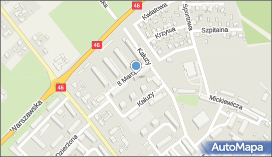 Handel Hurt Detal Art Spożywczo Przemysłowymi, ul. Dłuskiego 27D 46-040 - Przedsiębiorstwo, Firma, NIP: 7542369320