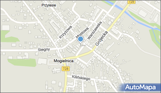 Handel Mięsem i Jego Przetworami Tadeusz i Stan Kotliccy, Rynek 16 05-640 - Przedsiębiorstwo, Firma, NIP: 7971098488