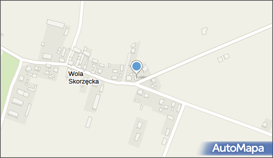 Handel Obwoźny Art Przemysł, Wola Skorzęcka 6, Wola Skorzęcka 62-200 - Przedsiębiorstwo, Firma, NIP: 7841019898