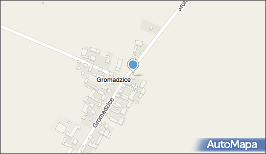 Handel Obwoźny Litwiński Stanisław Walczak Grzegorz, Gromadzice 98-310 - Przedsiębiorstwo, Firma, NIP: 8321751240