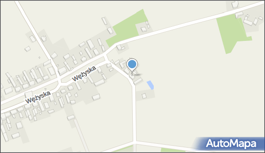 Handel Obwoźny Piotr Kuzdrowski, Wężyska 16, Wężyska 66-600 - Przedsiębiorstwo, Firma, NIP: 9261006868