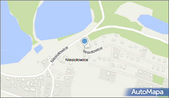 Handel Obwoźny Rybami, Niesiołowice N/N, Niesiołowice 83-320 - Przedsiębiorstwo, Firma, NIP: 5891702768