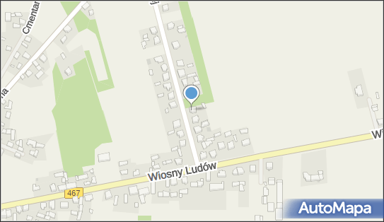 Handel Obwoźny Sławomir Bryk, ul. Marii Konopnickiej 8, Ciążeń 62-404 - Przedsiębiorstwo, Firma, NIP: 6671222417