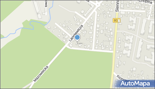 8221003745, Handel Obwoźny Jolanta Wąsik w Mińsku Mazowieckim 