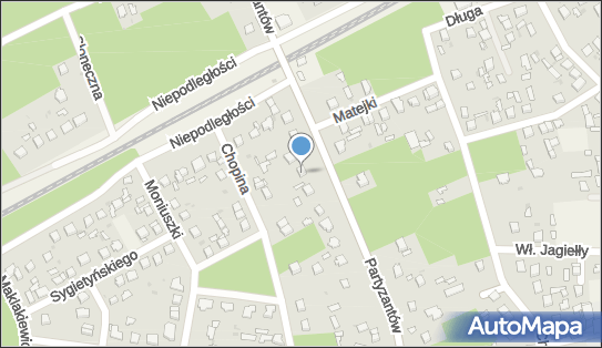 Handel Obwoźny, Partyzantów 8, Międzyborów 96-316 - Przedsiębiorstwo, Firma, NIP: 8381086817