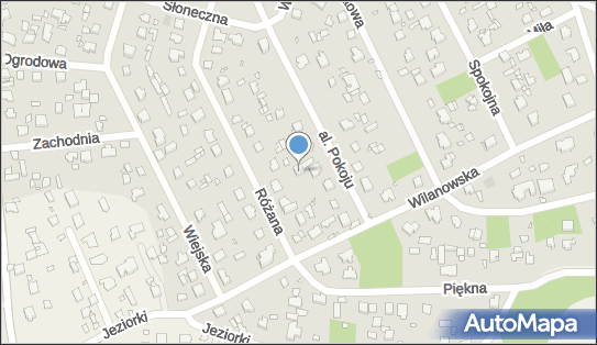 Handel Obwoźny, ul. Aleja Pokoju 7A, Piaseczno 05-500 - Przedsiębiorstwo, Firma, NIP: 1230080546