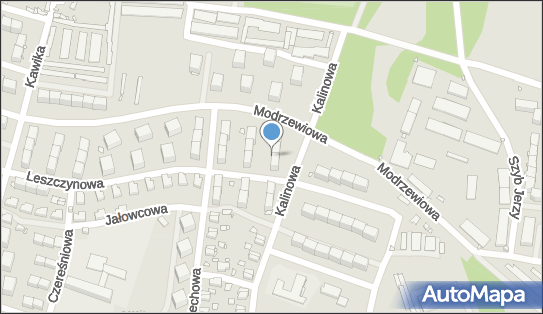 Handel Obwoźny, ul. Leszczynowa 20A, Zabrze 41-800 - Przedsiębiorstwo, Firma, NIP: 6481285716