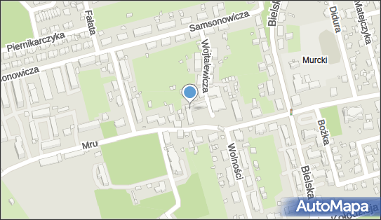 Handel Obwoźny, pl. Jana Kasprowicza 3/24, Katowice 40-749 - Przedsiębiorstwo, Firma, NIP: 9541432336