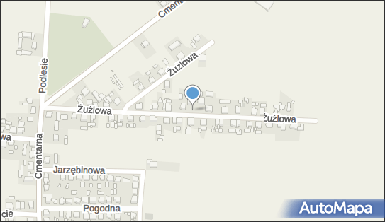 Handel Obwoźny, Żużlowa 18, Witaszyce 63-230 - Przedsiębiorstwo, Firma, NIP: 6171320246