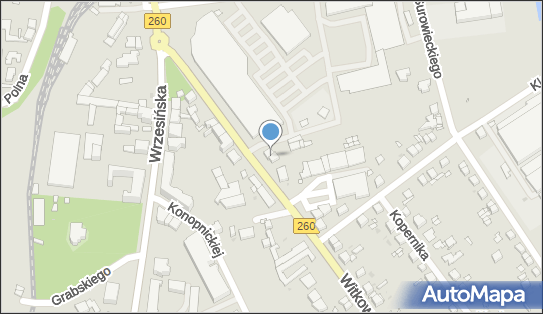 Handel Obwoźny, Witkowska 7, Gniezno 62-200 - Przedsiębiorstwo, Firma, NIP: 7841071485