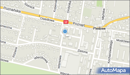 Handel Obwoźny, Poznańska 71, Pleszew 63-300 - Przedsiębiorstwo, Firma, NIP: 6171028497