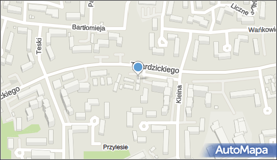 5540088685, Handel Odzieżą Tomasz Witkowski 