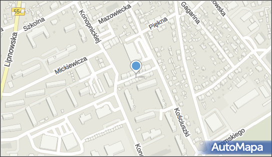 Handel Pośrednictwo Ubezpieczeniowe, ul. Pod Arkadami 8 87-400 - Przedsiębiorstwo, Firma, NIP: 8781049961