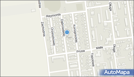 Handel - Usługi Zalgum Szymon Zaleski, ul. Marii Dąbrowskiej 10 66-210 - Przedsiębiorstwo, Firma, NIP: 9271156902