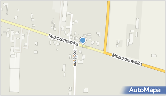 Haskap Tomasz Michalski, Mszczonowska 158, Skierniewice 96-100 - Przedsiębiorstwo, Firma, NIP: 8361678302