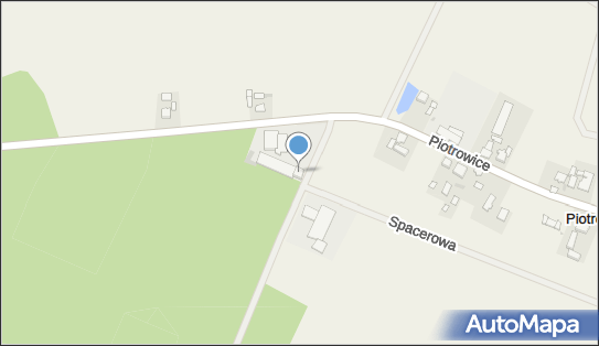 6971016194, Hejnowicz Marek 