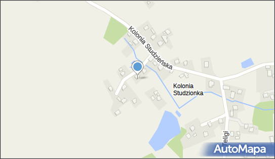 Helena Zientek - Działalność Gospodarcza, Kolonia Studzieńska 22 43-250 - Przedsiębiorstwo, Firma, NIP: 6331565070