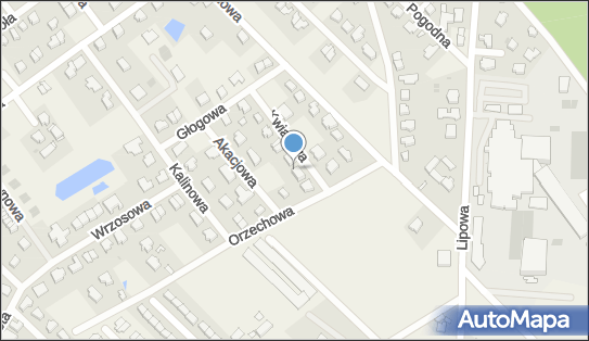 Henryk Archacki, Kwiatowa 1, Banino 80-297 - Przedsiębiorstwo, Firma, NIP: 5841081778