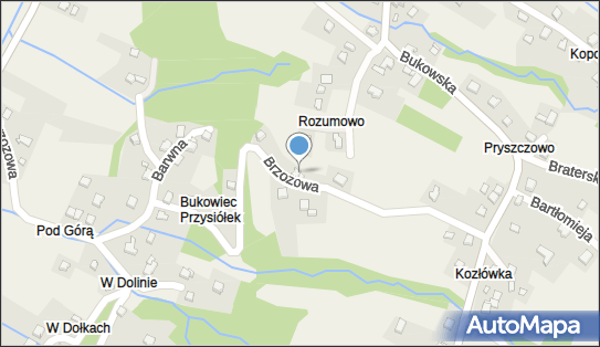 Henryk Błasiak - Działalność Gospodarcza, Brzozowa 31, Porąbka 43-353 - Przedsiębiorstwo, Firma, NIP: 9371154570