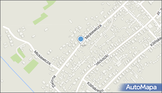 Henryk Tarłowski P.P.H.U Witrans, ul. Adama Mickiewicza 63 26-021 - Przedsiębiorstwo, Firma, NIP: 6572116043