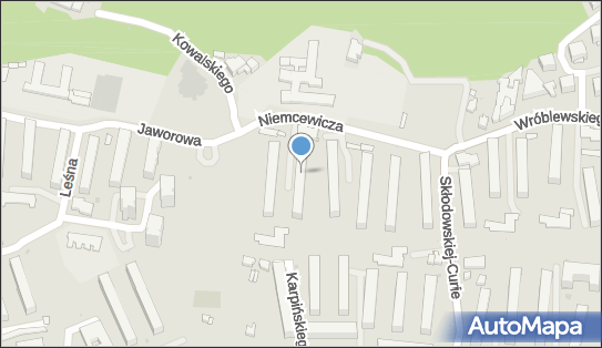 Henryka Ciupak - Działalność Gospodarcza, Puławy 24-100 - Przedsiębiorstwo, Firma, NIP: 7161495625