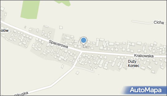 Henryka Zaręba Firma Handlowo - Usługowa Dam-Ber, Jangrot 183 32-353 - Przedsiębiorstwo, Firma, NIP: 6770022093