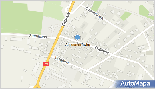 Hieronim Augustyniak PPH Ferro-Pigment Export-Import, Aleksandrówka 26-900 - Przedsiębiorstwo, Firma, NIP: 8121267172